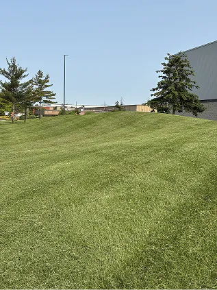 Commercial Landscaping Solutions